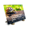 Plaque funéraire plaque-funeraire-tortue 9 Plaquedeces.fr